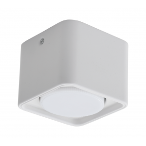 2558M/1 FWH (1/50) Светильник потолочный NW