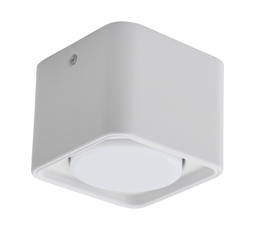 2558M/1 FWH (1/50) Светильник потолочный NW