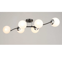 2318/6 BK+CH (1) Люстра RL #