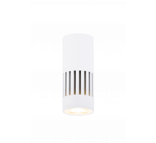 031 SWT (1/30) Светильник