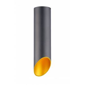 HDL-5060-220-BK/GOLD (1/25) Светильник