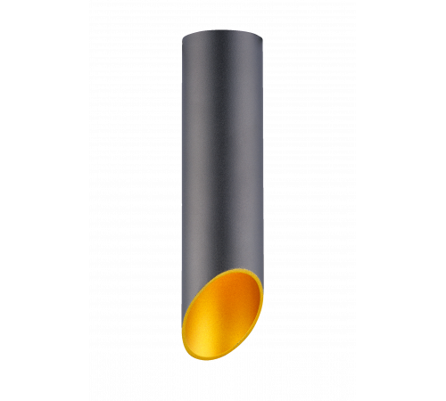 HDL-5060-220-BK/GOLD (1/25) Светильник