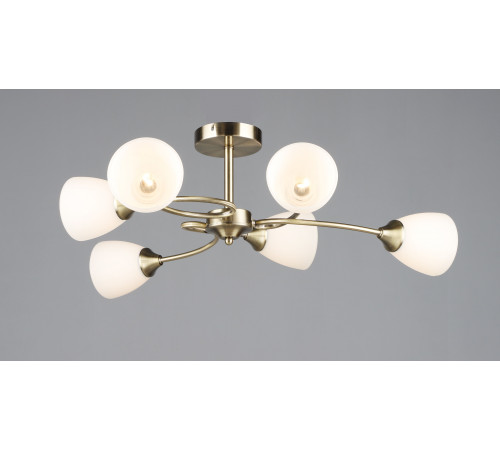 7124/6 AB (1) Люстра RL