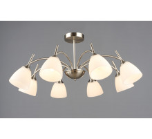 7349/8 SN (1) Люстра RL