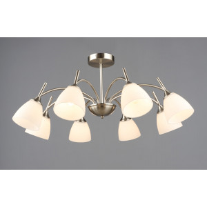 7349/8 SN (1) Люстра RL