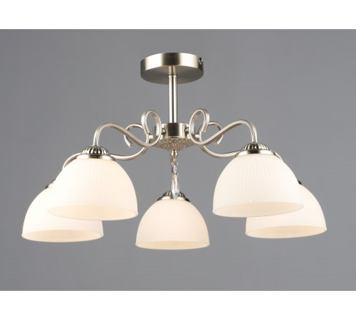 7329/5 SN (1) Люстра RL