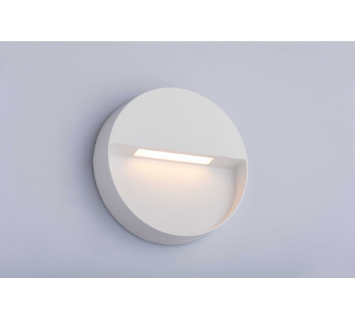 20104 SWH (1/20) Светильник