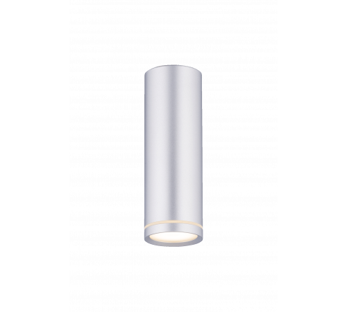 2027CN-B SSV (1/20) Светильник