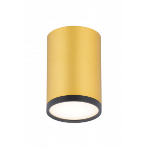 0050 SBK+SGD (1/30) Светильник (RL)