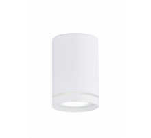 2027CN-A SWT (1/30) Светильник (RL)