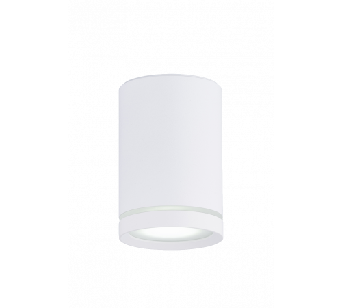 2027CN-A SWT (1/30) Светильник (RL)