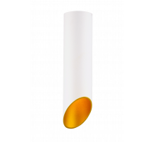 HDL-5060-220-WH/GOLD (1/25) Светильник