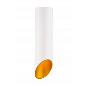 HDL-5060-220-WH/GOLD (1/25) Светильник