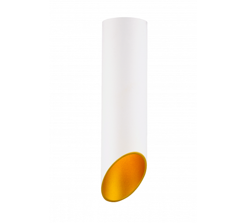 HDL-5060-220-WH/GOLD (1/25) Светильник