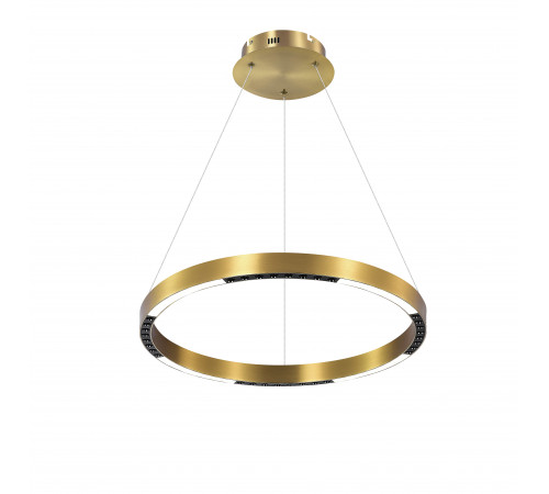 2063-DW-400 PAINT GOLD (1) Светильник (NW)