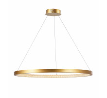 2104-DW/1000 PAINT GOLD (1) Светильник (NW)