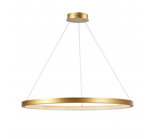 2104-DW/1000 PAINT GOLD (1) Светильник (NW)