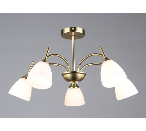 7349/5 COP (1) Люстра RL