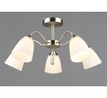 7328/5 SN (1) Люстра RL