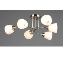 6772/6 SN (1) Люстра RL