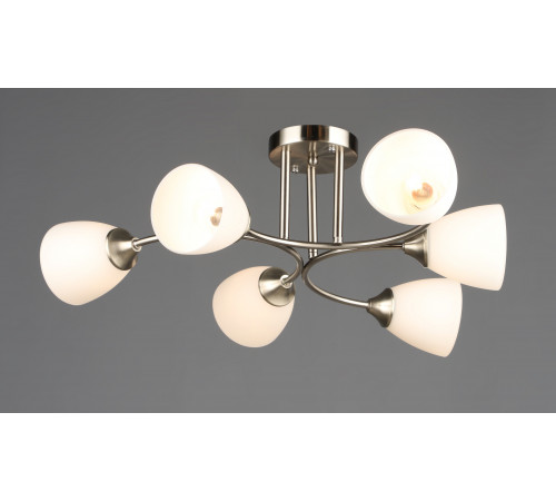 6772/6 SN (1) Люстра RL