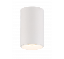 HDL-56090-WH WH (1/50) Светильник