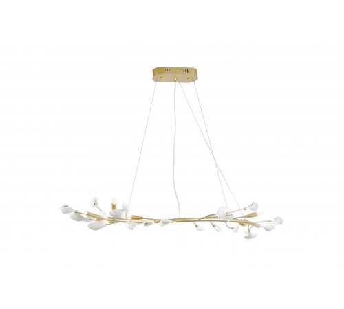 9020-L1180GD GOLD (1) Люстра NW
