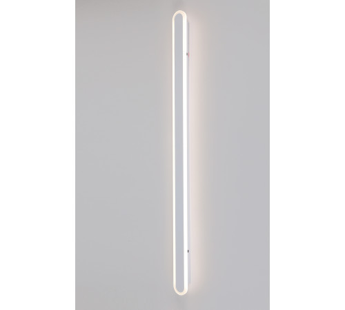 FJ6002/1000 WT (1/10) Настенный светильник (RL) #