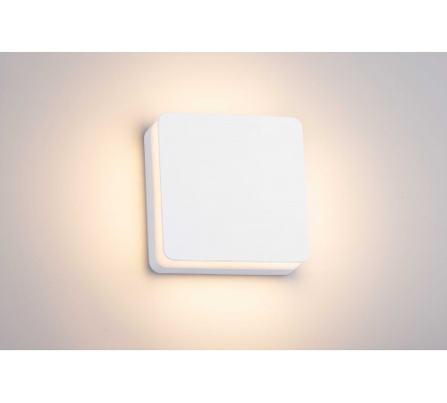 20107 SWH (1/20) Светильник