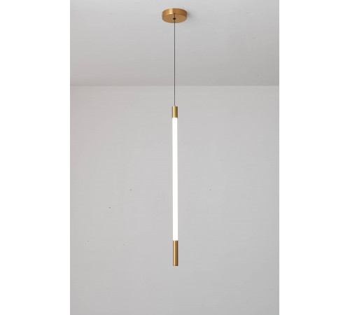 D8961-1 GOLD (1/12) Подвесной светильник RL #