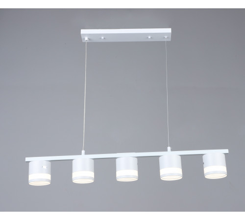 6670/5 WT (1) Люстра (RL) #