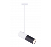 542RT SWT+SBK (1/20) Светильник