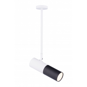 542RT SWT+SBK (1/20) Светильник