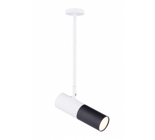 542RT SWT+SBK (1/20) Светильник