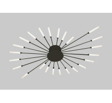 9730-24 BLACK (1) Люстра NW #