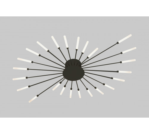 9730-24 BLACK (1) Люстра NW #