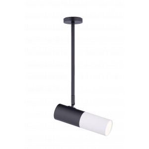 542RT SBK+SWT (1/20) Светильник