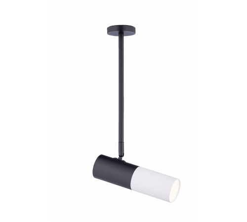 542RT SBK+SWT (1/20) Светильник