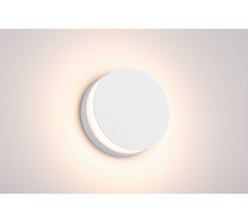 20106 SWH (1/20) Светильник