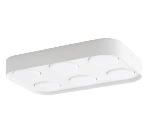 2630M/6 FWH (1/10) Светильник потолочный NW