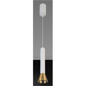 1049WH+GD BLACK (1/30) Светильник