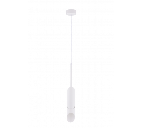 1125W+W WHITE (1/30) Светильник RL