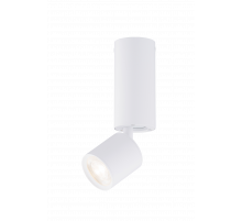 039MZ SWT (1/30) Светильник