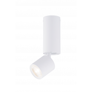 039MZ SWT (1/30) Светильник