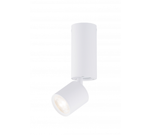 039MZ SWT (1/30) Светильник