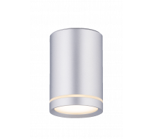 2027CN-A SSV (1/30) Светильник (RL)