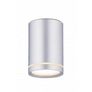 2027CN-A SSV (1/30) Светильник (RL)