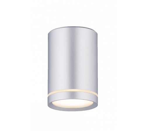 2027CN-A SSV (1/30) Светильник (RL)