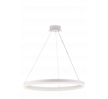 20214-6 SWT (1) Светильник (RL)