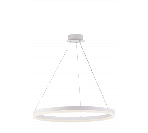 20214-6 SWT (1) Светильник (RL)